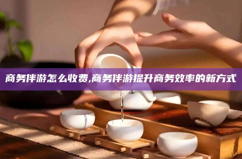 弥勒商务伴游怎么收费,商务伴游提升商务效率的新方式